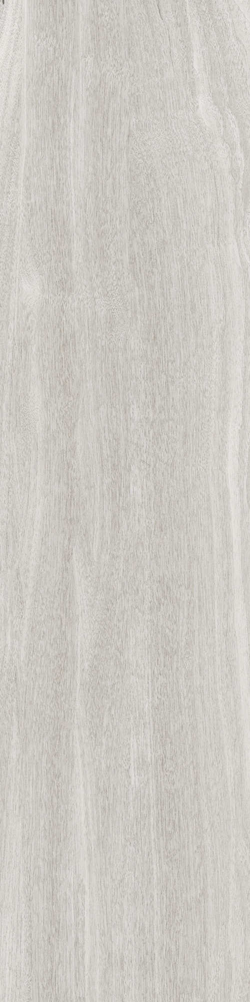 Gres Vicenza 22 x 90