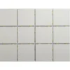 Blanco Mate 10 x 10