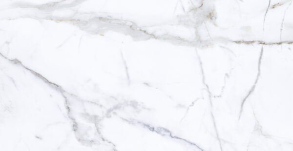 Calacata Gold Plus 31 x 60
