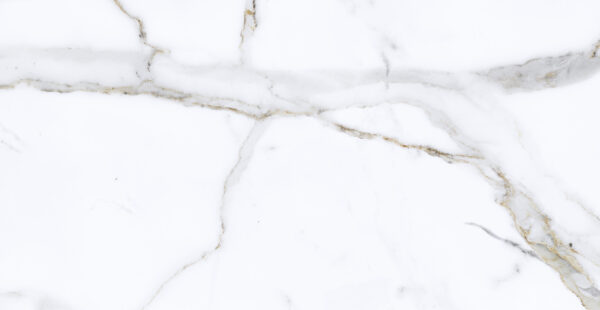 Calacata Gold Plus 31 x 60