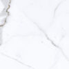 Calacata Gold Plus 31 x 60