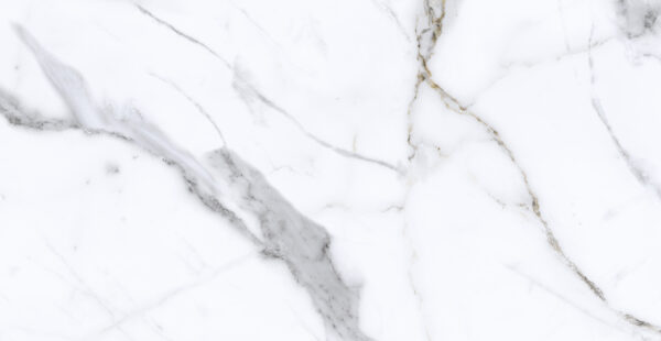 Calacata Gold Plus 31 x 60