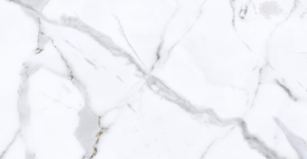 Calacata Gold Plus 31 x 60