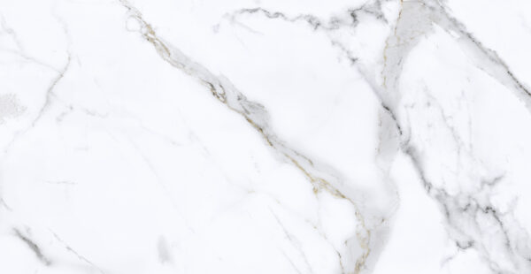 Calacata Gold Plus 31 x 60