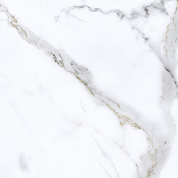 Calacata Gold Plus 31 x 60