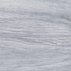Forest Ice