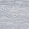 Forest Ice