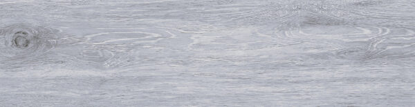 Forest Ice