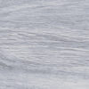 Forest Ice