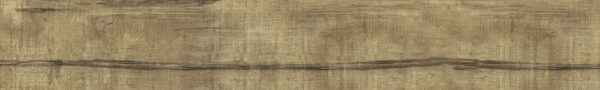 Vetus 19 x 120 cm