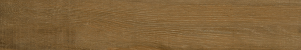 Amazon Brown Rectificado 18 x 113