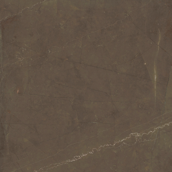 Antique Brown Rectificado 91 x 91