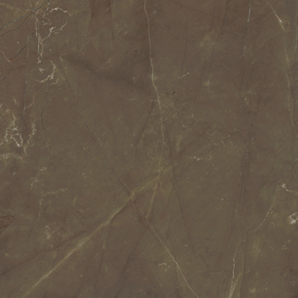 Antique Brown Rectificado 91 x 91
