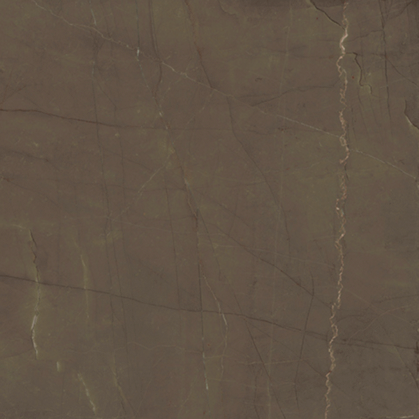 Antique Brown Rectificado 91 x 91