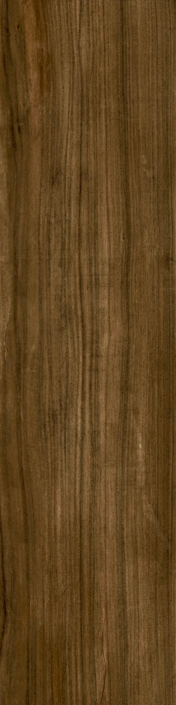Carvalho 27 x 113