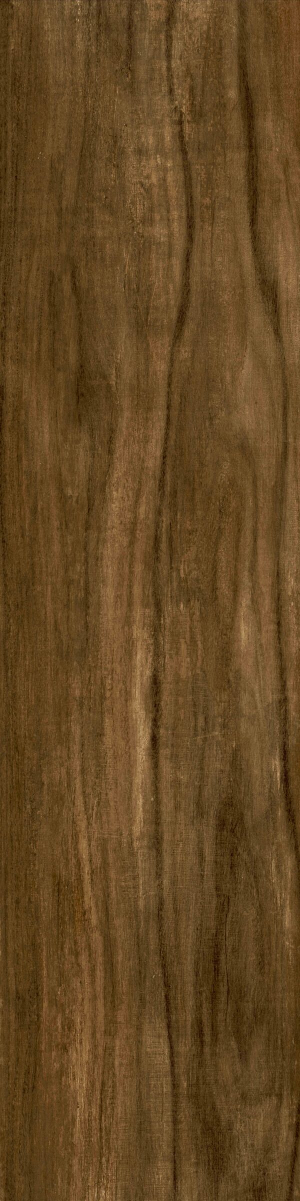 Carvalho 27 x 113