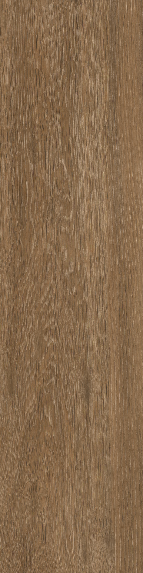 Treviso Rectificado 22 x 90