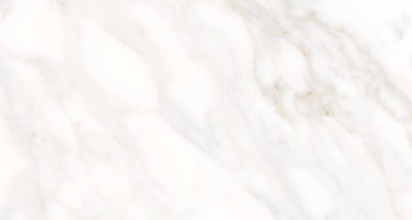 Carrara Oro 31 x 59